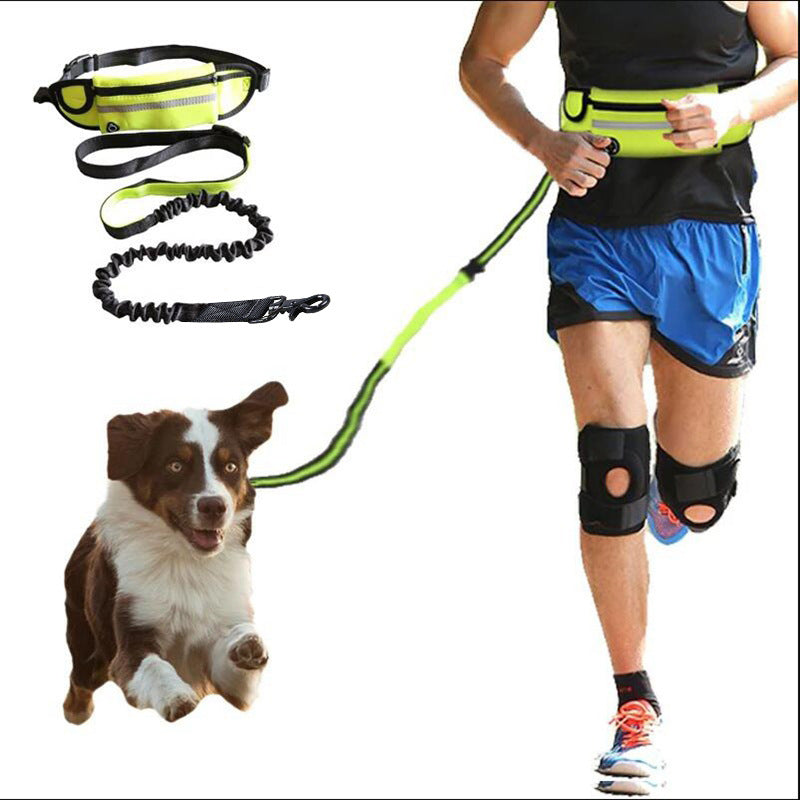 Pet Walking And Training Belt Leash - Smoothy Paws